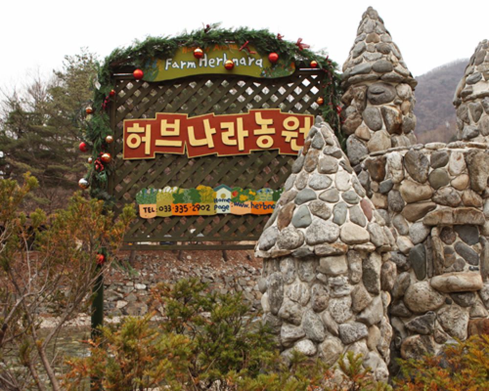 할인권